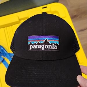 Patagonia Multicolor Mesh Trucker Hat